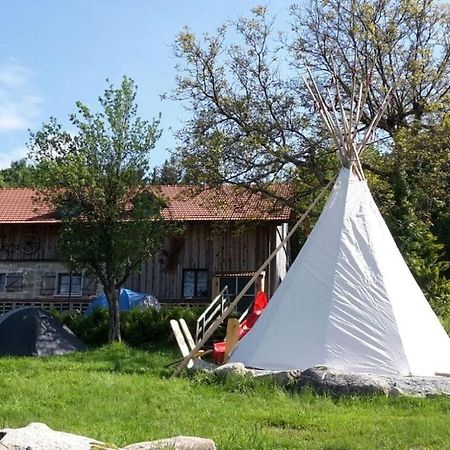 Schauberger Hut Mountain Hut Валдкирхен Екстериор снимка